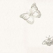 butterflies (5)