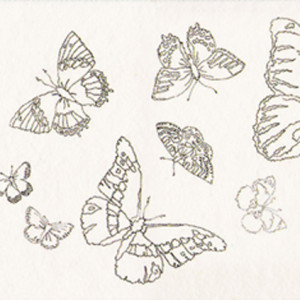 butterflies (7)