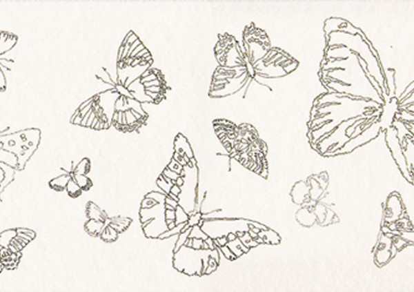 butterflies (7)